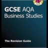 Business studies revision guide