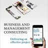 Business and Management Consulting: Delivering an Effective Project, 6th Edition