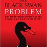The Black Swan Problem: Risk Management Strategies for a World of Wild Uncertainty (Wiley Corporate F&A)