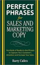 Perfect Phrases for Sales and Marketing Copy (Perfect Phrases Series): Hundreds of Ready-To-Use Phrases to Capture Your Customer’s Attention and Increase Your Sales