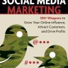 Guerrilla Social Media Marketing: 100+ Weapons to Grow Your Online Influence, Attract Customers, and Drive Profits (Guerrilla Marketing)
