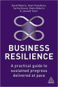 Business Resilience: A Practical Guide to Sustained Progress Delivered at Pace